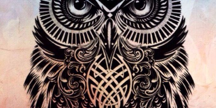 736x1309 Owl Wallpapers - Top Free Owl Backgrounds - WallpaperAccess | Owl wallpaper,  Owl wallpaper iphone, Cute owls wallpaper