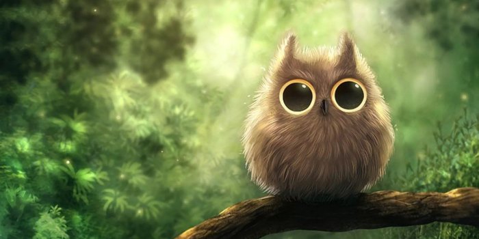 1920x1080 27 Cute Owl Wallpapers - Wallpaperboat