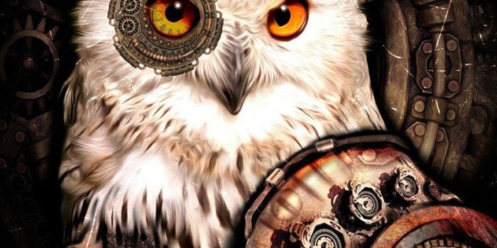 1080x1920 80 Phone Backgrounds - Cute Owls ideas | cute owl, owl wallpaper, owl
