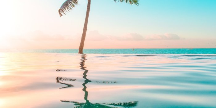 1000x1500 Tropical Wallpapers: Free HD Download [500+ HQ] | Unsplash