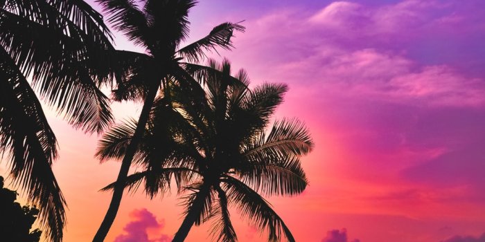 1000x1506 Tropical Wallpapers: Free HD Download [500+ HQ] | Unsplash
