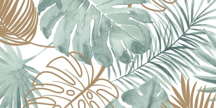 1000x1208 Tropical Leaves by Albany - Green : Wallpaper Direct | Leaves wallpaper  iphone, Green wallpaper, Leaf drawing