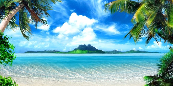 2560x1600 64+] Tropical Wallpapers on WallpaperSafari