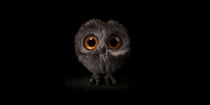 3840x2160 Pinfeather Fluffy Owl 4k, HD Birds, 4k Wallpapers, Images, Backgrounds,  Photos and Pictures