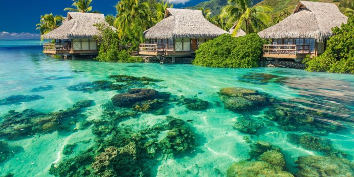 1920x1080 30+ 4K Ultra HD Tropical Wallpapers | Background Images