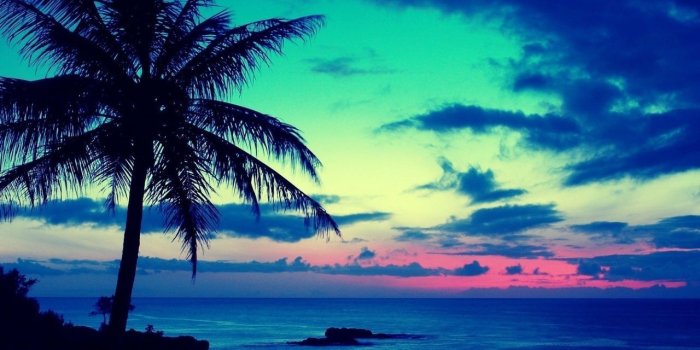 1280x768 Tropical HD Wallpapers Group (83+)
