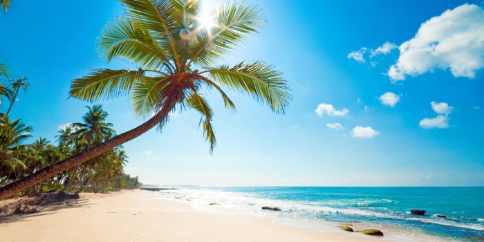 2560x1600 1000+ Best Tropical Mac Wallpapers Free HD Download - AllMacWallpaper