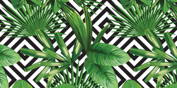 2560x1583 Tropical Backgrounds, Green, Palm, Tree, Tropical, Wallpaper, Nature, #11948