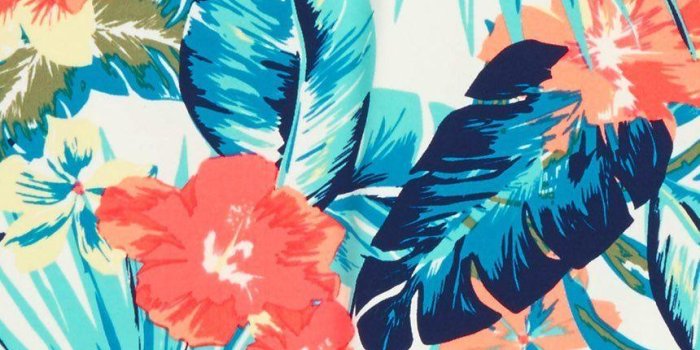 860x1318 Tropical Backgrounds