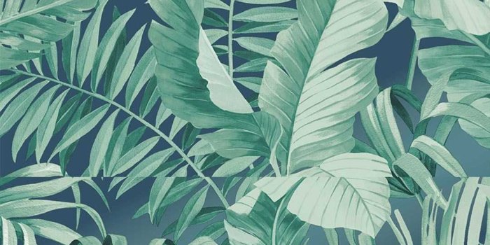 1080x1920 HD Tropical Wallpaper - iXpap