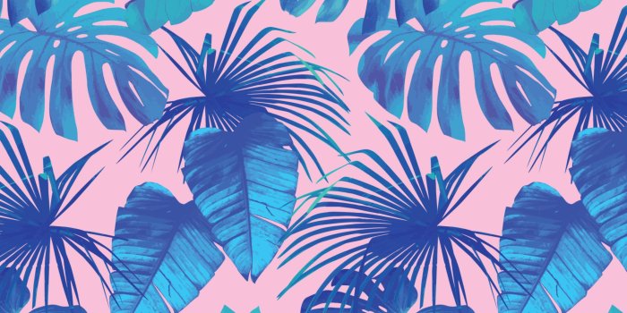 3028x1872 Caribbean Cool Tropical Wallpaper | Iconic Tropical Images