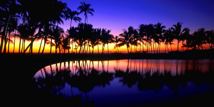 1920x1080 Tropical Background HD - PixelsTalk.Net