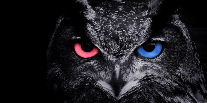 3840x2160 Owl Wallpaper 4K - KoLPaPer - Awesome Free HD Wallpapers