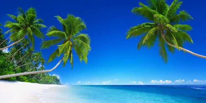 3840x2160 4K Tropical Wallpapers - Top Free 4K Tropical Backgrounds - WallpaperAccess