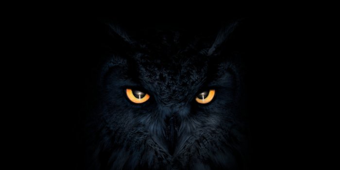 2560x1440 Owl Dark Glowing Eyes, HD Artist, 4k Wallpapers, Images, Backgrounds,  Photos and Pictures