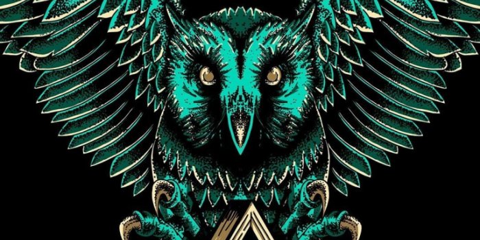 768x1024 Free download Illuminati Owl Wallpapers Top Illuminati Owl Backgrounds  [1080x1920] for your Desktop, Mobile & Tablet | Explore 32+ Owl Backgrounds  | Owl Wallpaper, Owl Wallpapers, Owl City Wallpaper