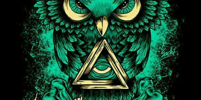 720x1280 Owl, Wallpaper, And Green Image - Illuminati Logo - 720x1280 Wallpaper -  teahub.io