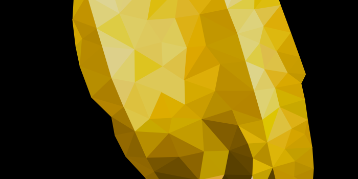 4082x7257 Owl 4K wallpapers for your desktop or mobile screen free and easy to  download