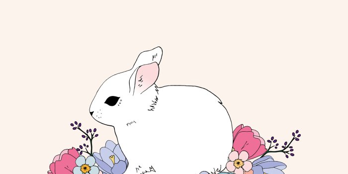 1800x2325 Spring bunny desktop wallpaper – Make and Tell