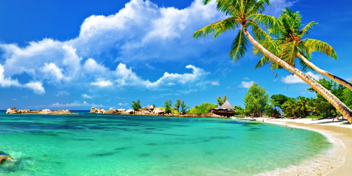 2560x1600 Tropical wallpaper | 2560x1600 | #47715
