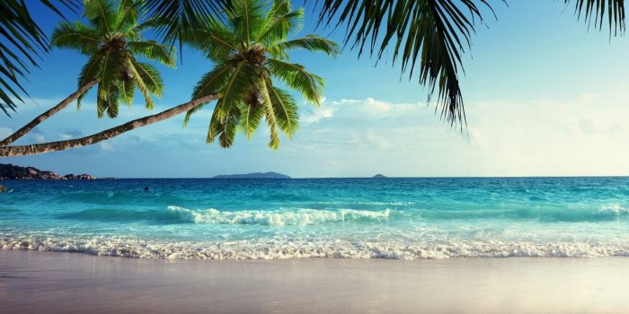1920x1200 60+ Tropical Beach Landscape Wallpapers: HD, 4K, 5K for PC and Mobile |  Download free images for iPhone, Android