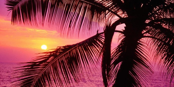 1600x1200 Tropical Wallpapers Desktop Wallpapers Cave Desktop Background