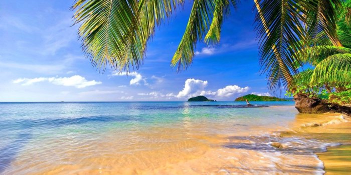 1920x1200 Wallpapers For > Tropical Wallpaper Desktop Src Tropical - Tropical Beach  Wallpaper Hd - 1920x1200 - Download HD Wallpaper - WallpaperTip