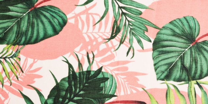 1200x1800 Cute Tropical Wallpapers - Top Free Cute Tropical Backgrounds -  WallpaperAccess