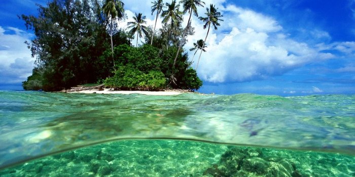 1200x900 40+ Tropical wallpapers HD | Download Free backgrounds