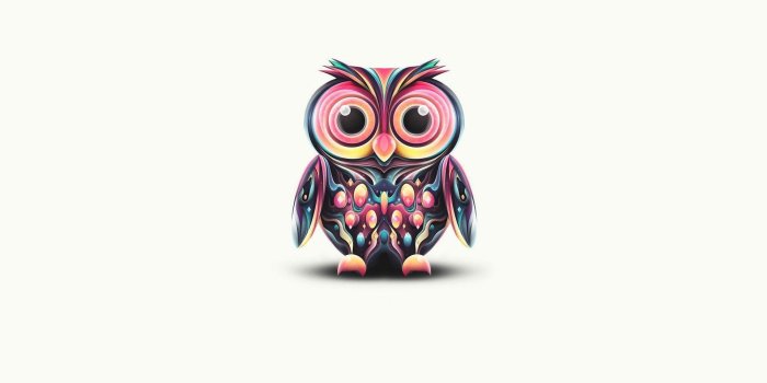 1920x1200 Cute Owl Wallpapers