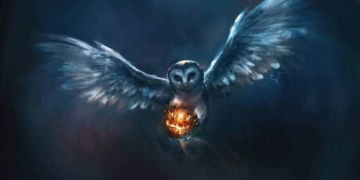 1920x1200 5780002 / 1920x1200 fantasy owl wallpaper | Cool wallpapers for me!