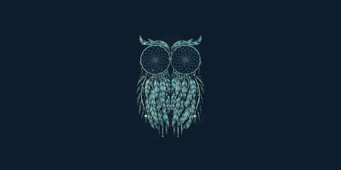 1920x1080 HD Owl Wallpapers - KoLPaPer - Awesome Free HD Wallpapers