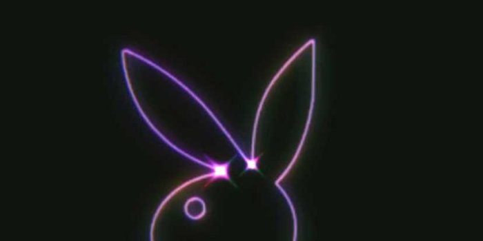 828x1480 4K Playboy Bunny Wallpaper | WhatsPaper