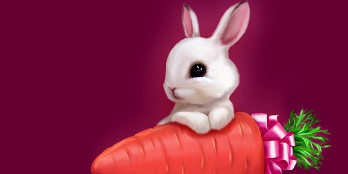 2560x1440 Mac iMac 27 Bunny Wallpapers HD, Desktop Backgrounds 2560x1440 Desktop  Background