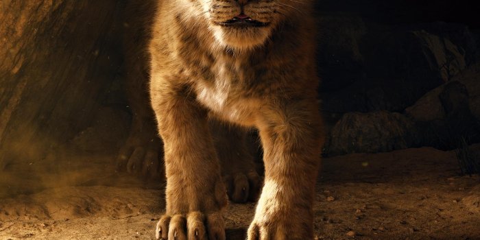 1536x2732 The Lion King (2019) Phone Wallpaper | Moviemania