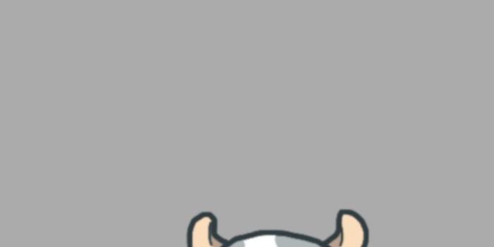 736x1104 Little Cow wallpaper | Wallpaper iphone cute, Cow wallpaper, Kawaii  wallpaper | Cute wallpapers, Cow wallpaper, Cute cartoon wallpapers
