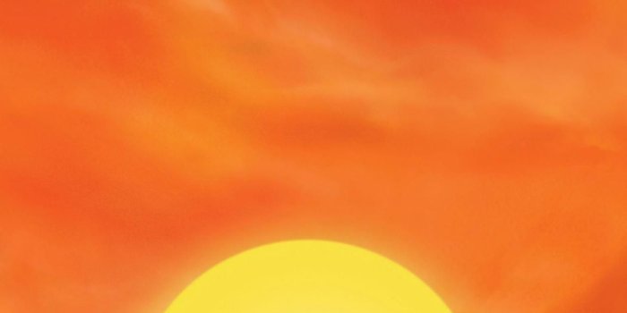 1276x2270 Lion King Wallpaper Iphone - 1276x2270 Wallpaper - teahub.io