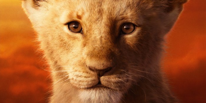 2560x1440 The Lion King 2019 Simba 4K Wallpaper #4