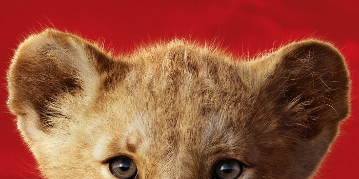 2160x3840 Lion King HD wallpapers, Backgrounds
