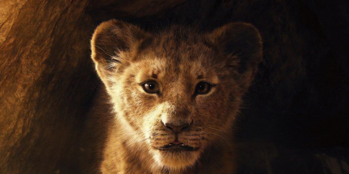 6752x3798 The Lion King 2019, HD Movies, 4k Wallpapers, Images, Backgrounds, Photos  and Pictures