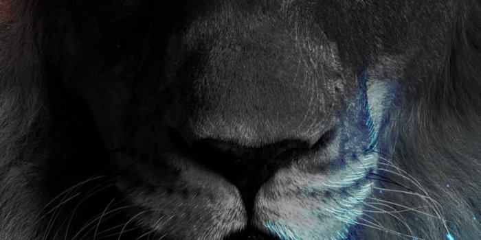900x1600 Lion King Face IPhone Wallpaper - IPhone Wallpapers : iPhone Wallpapers