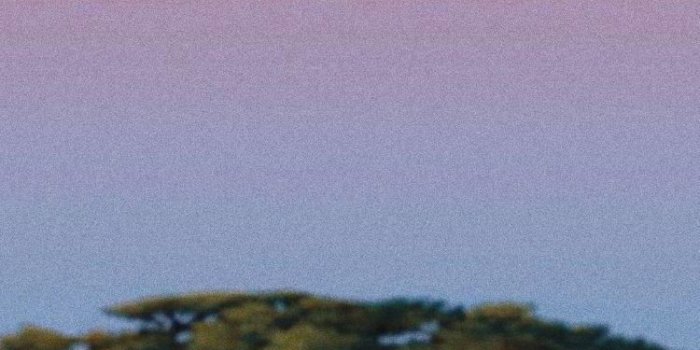 750x1334 Disney's Lion King Simba and Nala Wallpaper | Disney background, Disney  wallpaper, Disney phone wallpaper