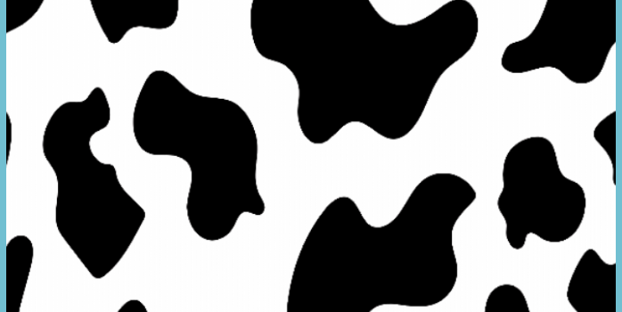 698x1421 Black And White Cow Wallpapers - Black And White Cow  Wallpaper | Neat
