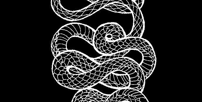 690x1446 Tattoo Phone Wallpapers - Top Free Tattoo Phone Backgrounds -  WallpaperAccess