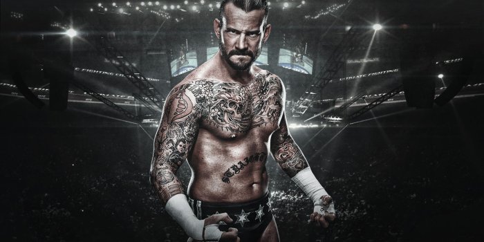 1920x1080 UFC Wallpapers HD | Ufc, Mcgregor wallpapers, Cm punk