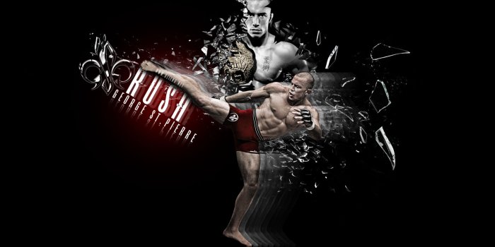 1600x1200 73+] Ufc Wallpapers on WallpaperSafari