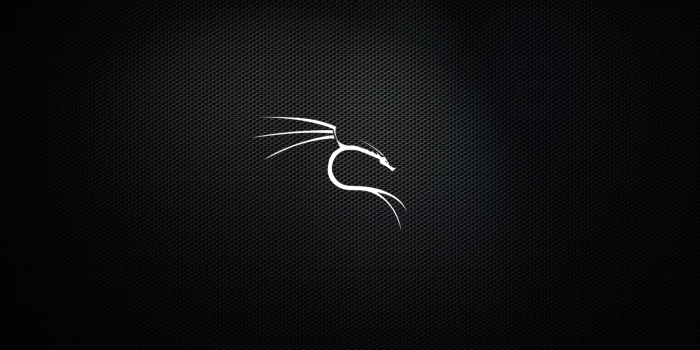 1920x1080 GitHub - dorianpro/kali-linux-wallpapers: A set of dedicated Kali Linux*  wallpapers which I'm going to update regularly. They all done using GIMP  and other GNU/Linux/FOSS.