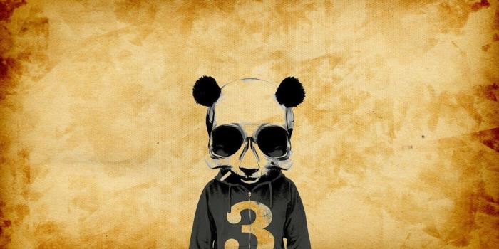 1920x1080 Crazy Wallpapers HD