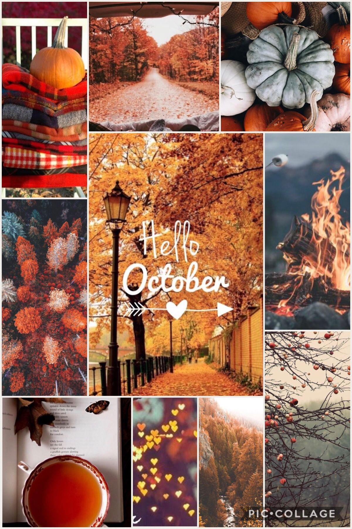 1200x1800 Cute October Wallpapers - KoLPaPer - Awesome Free HD Wallpapers