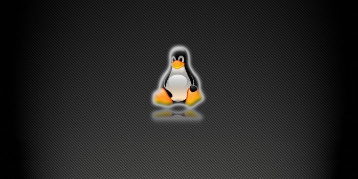 2560x1600 Free download Linux wallpapers [2560x1600] for your Desktop, Mobile &  Tablet | Explore 49+ Linux Wallpaper Download | Linux Mint Wallpaper, Arch Linux  Wallpaper, Cool Wallpapers